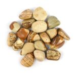 101_-_picture_jasper_100_gram.jpg