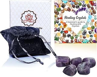 Healing Crystals India Amethyst Purple Natural Tumbled Stones (5)