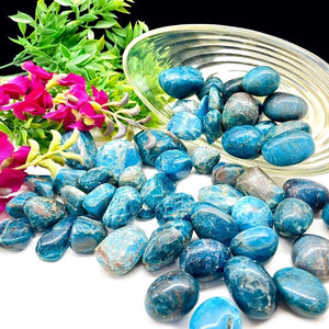 Blue Apatite Tumble (For Psychic perception)