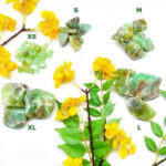 Green Calcite Rough  (Healing for Heart & Lungs)