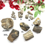 Aurkalite Petrified Wood Rough from Czech Republic