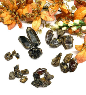 Baltic Amber Rough (Good health)