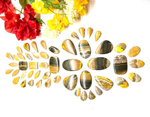 Bumble Bee Jasper Cabochon (Deal with change)