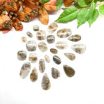Cacoxenite Cabochons (Raising Consciousness)