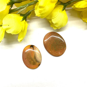 Polygram Jasper Cabochon