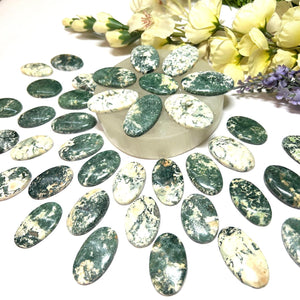 Tree Agate Cabochon